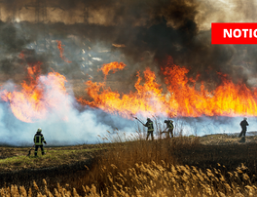 Presentamos el primer Plan de Actuación Municipal (PAMIF) frente a Incendios Forestales en Navarra