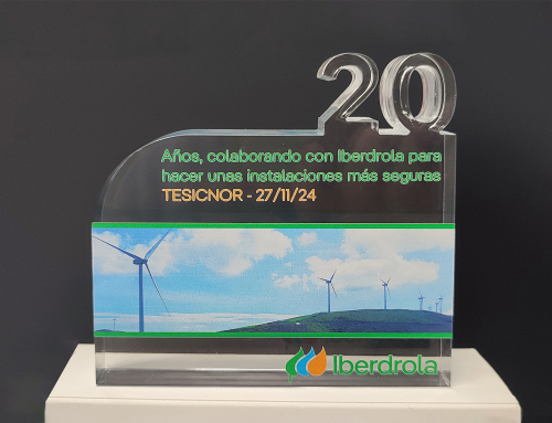 Iberdrola reconoce 20 años de Tesicnor en seguridad laboral